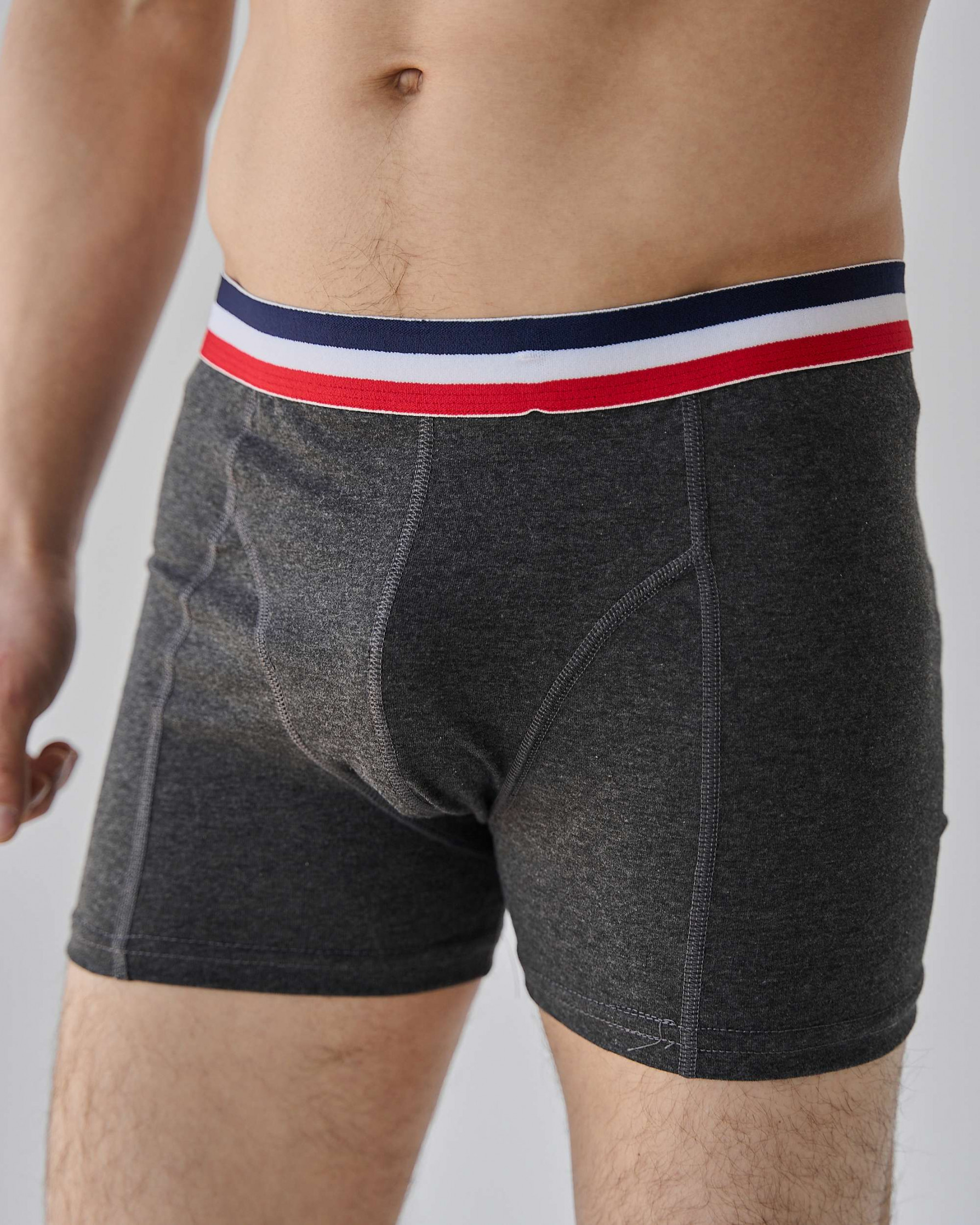 Боксери чоловічі зі смугастою резинкою - Сірий