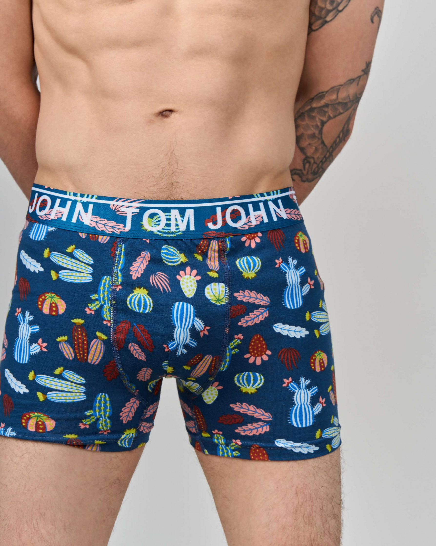 Боксери чоловічі Tom John - Кактуси