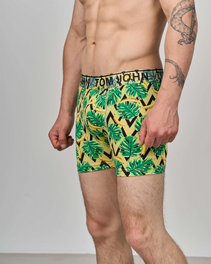 Боксери чоловічі Tom John - Листя