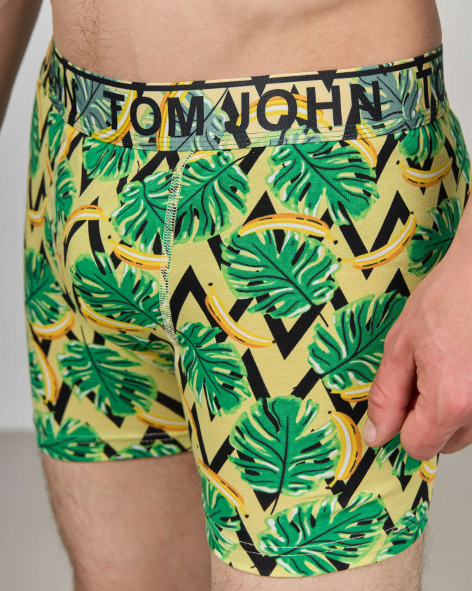 Боксери чоловічі Tom John - Листя