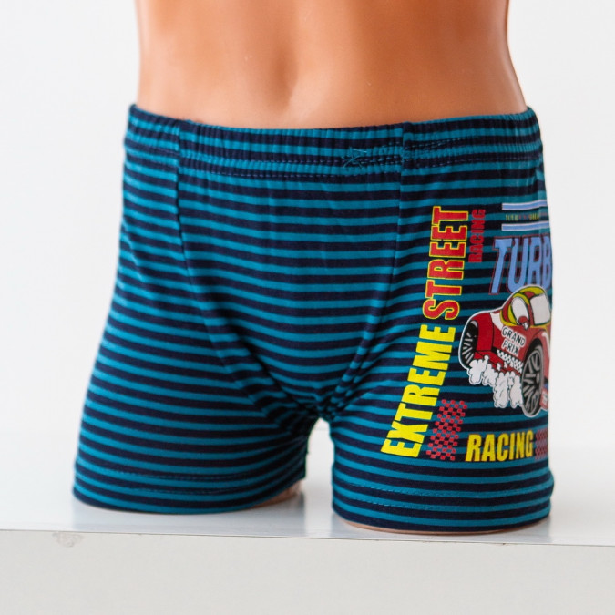 Боксери підліткові - смугасті