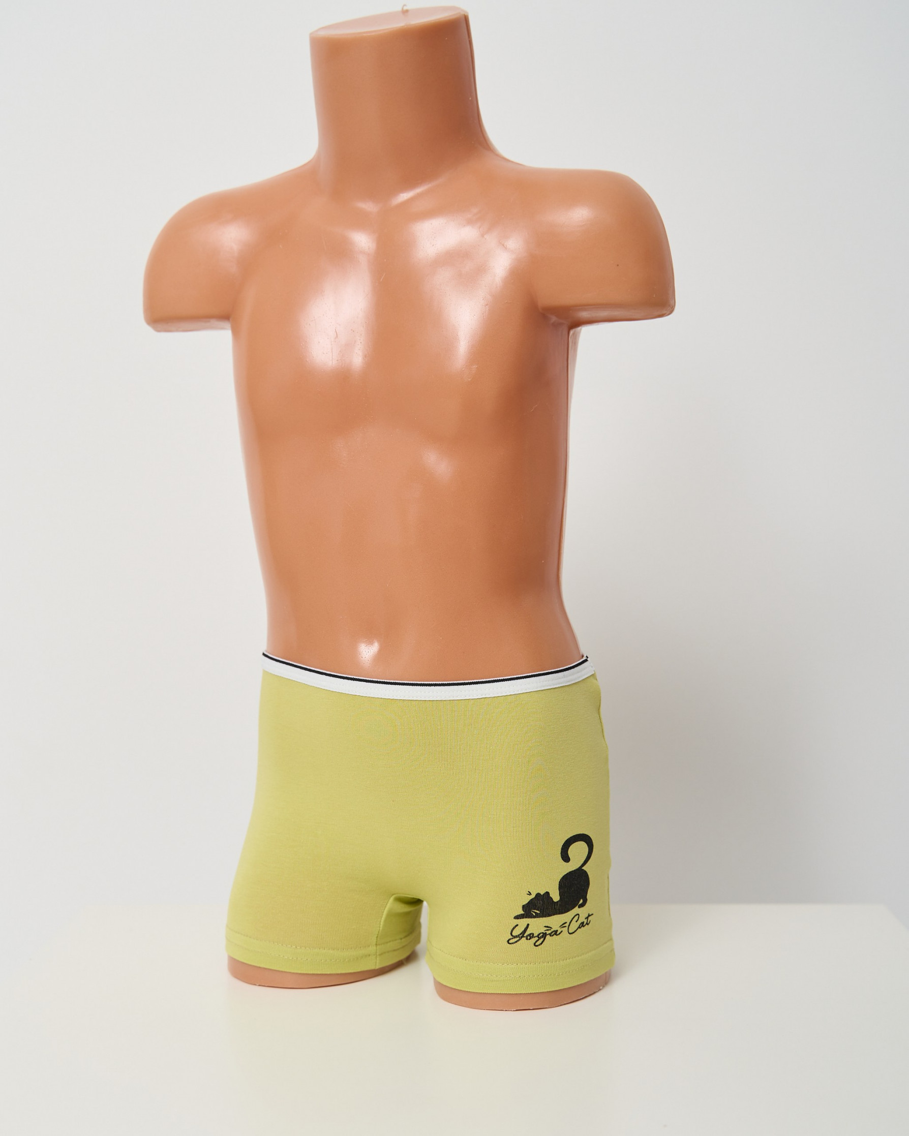 Шортики на дівчинку-підлітка, кольорові - Cats